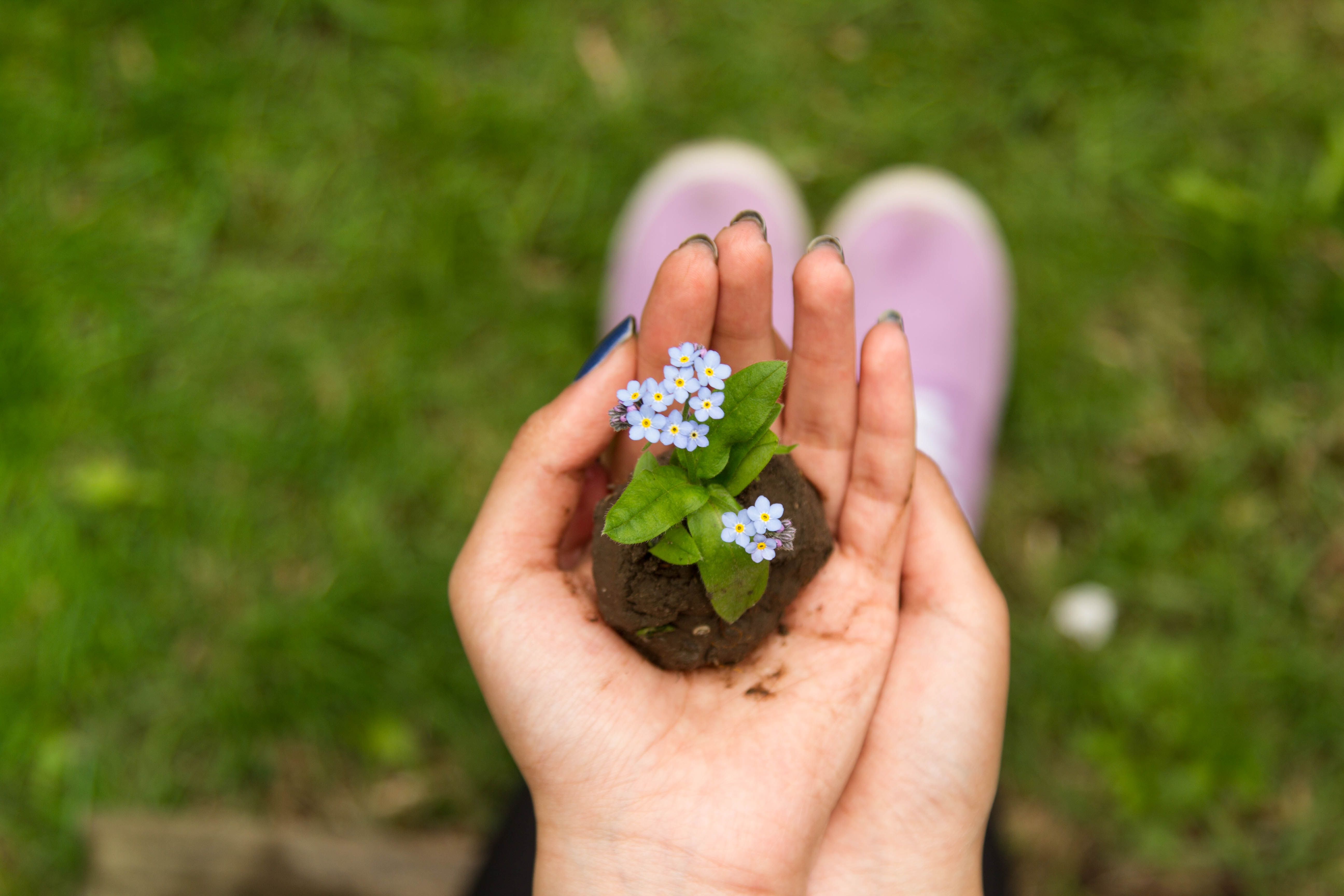 Are You Struggling With Emotional Eating?